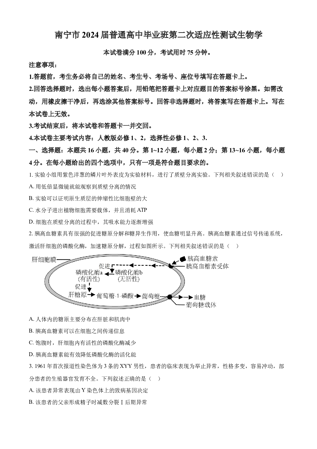 含参考答案 2024届广西届南宁市高三二模生物试卷（原卷版）.docx 第1页
