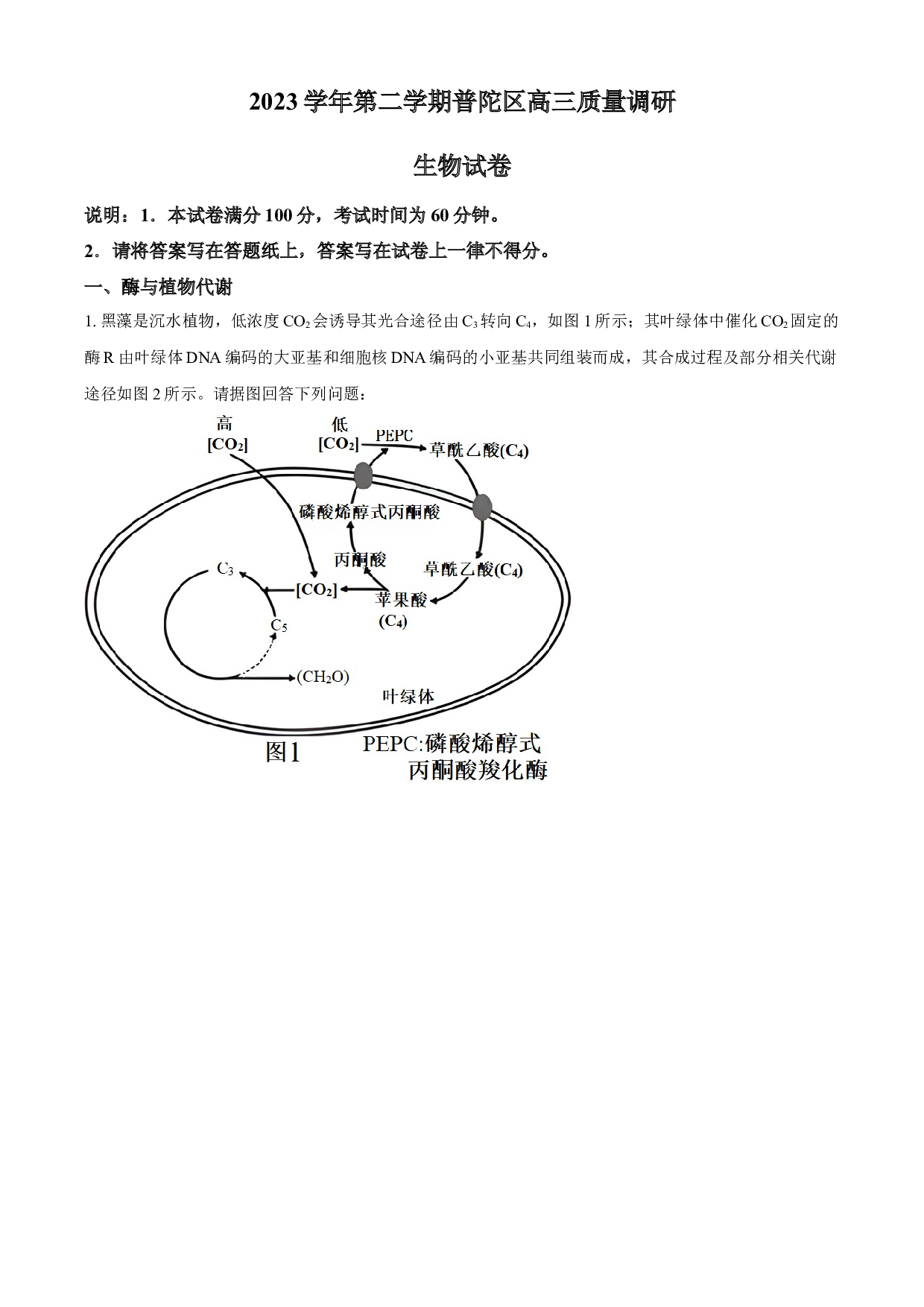 2024届上海市普陀区高三下学期二模生物试题.docx 第1页