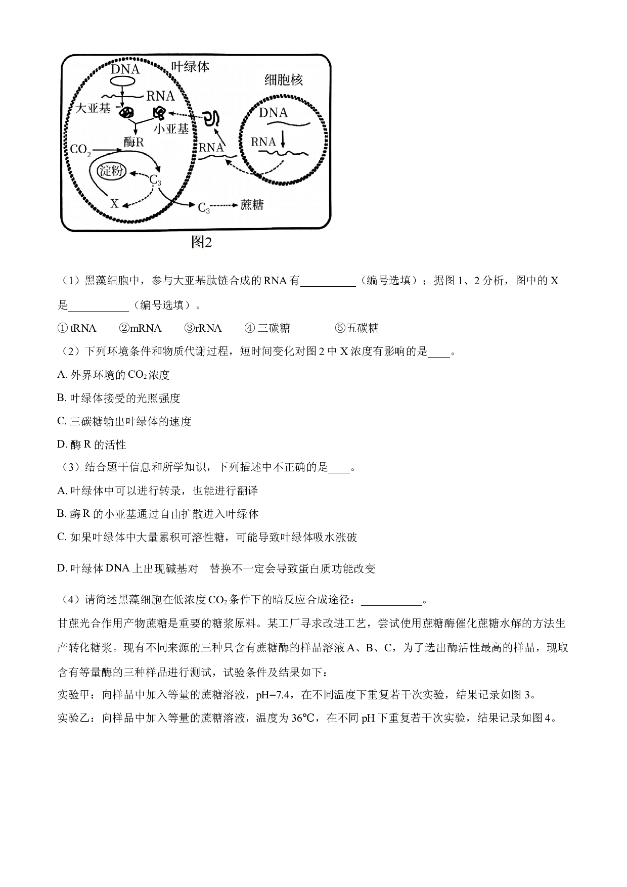2024届上海市普陀区高三下学期二模生物试题.docx 第2页