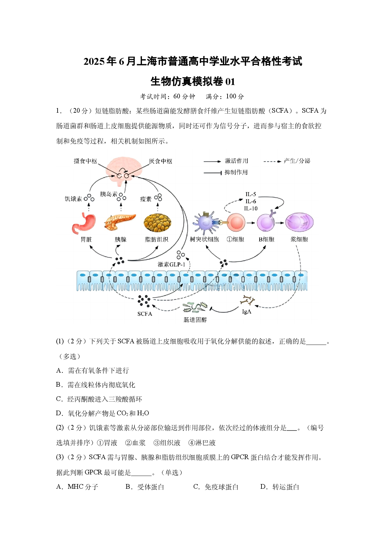 生物试卷2025年6月上海普通高中学业水平合格性考试生物仿真模拟卷01(含参考解析).docx 第1页