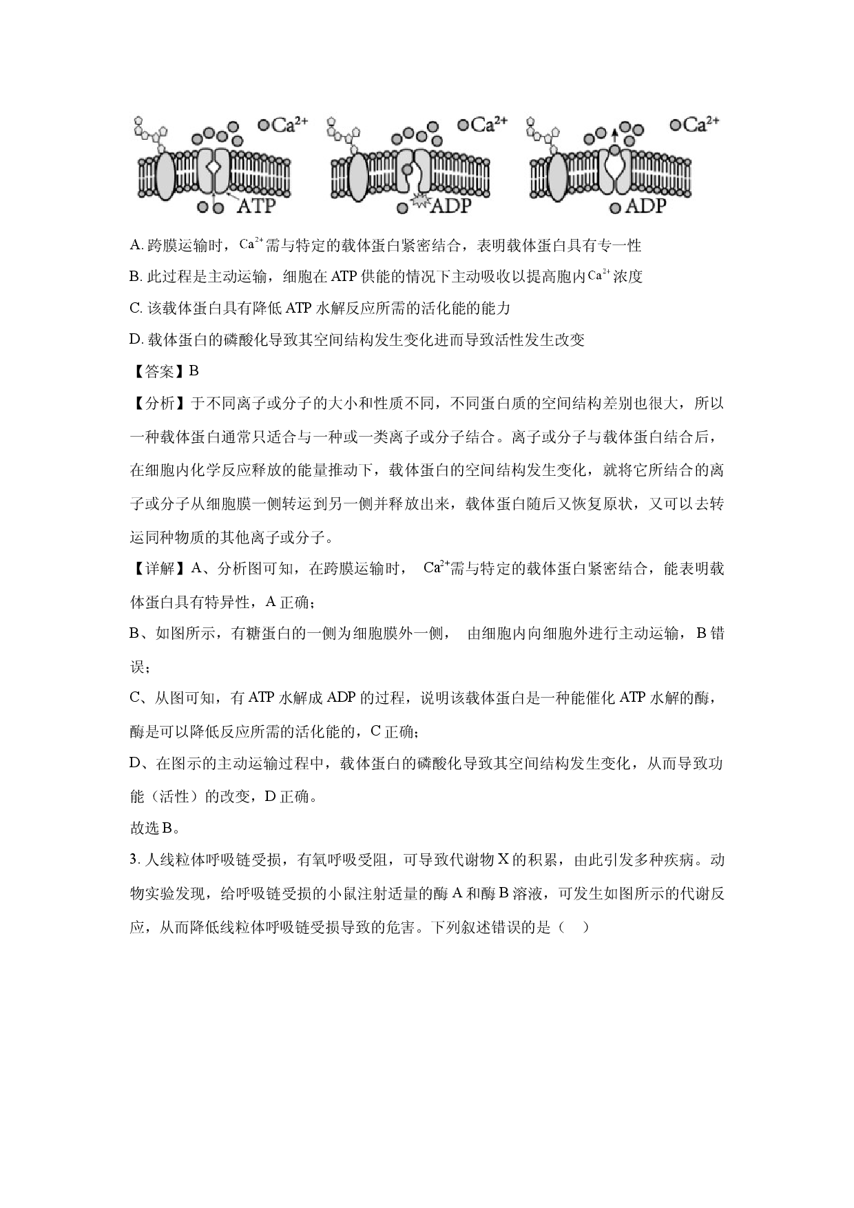 生物试卷湖北2025届新高考信息卷（三）(含参考解析).docx 第2页