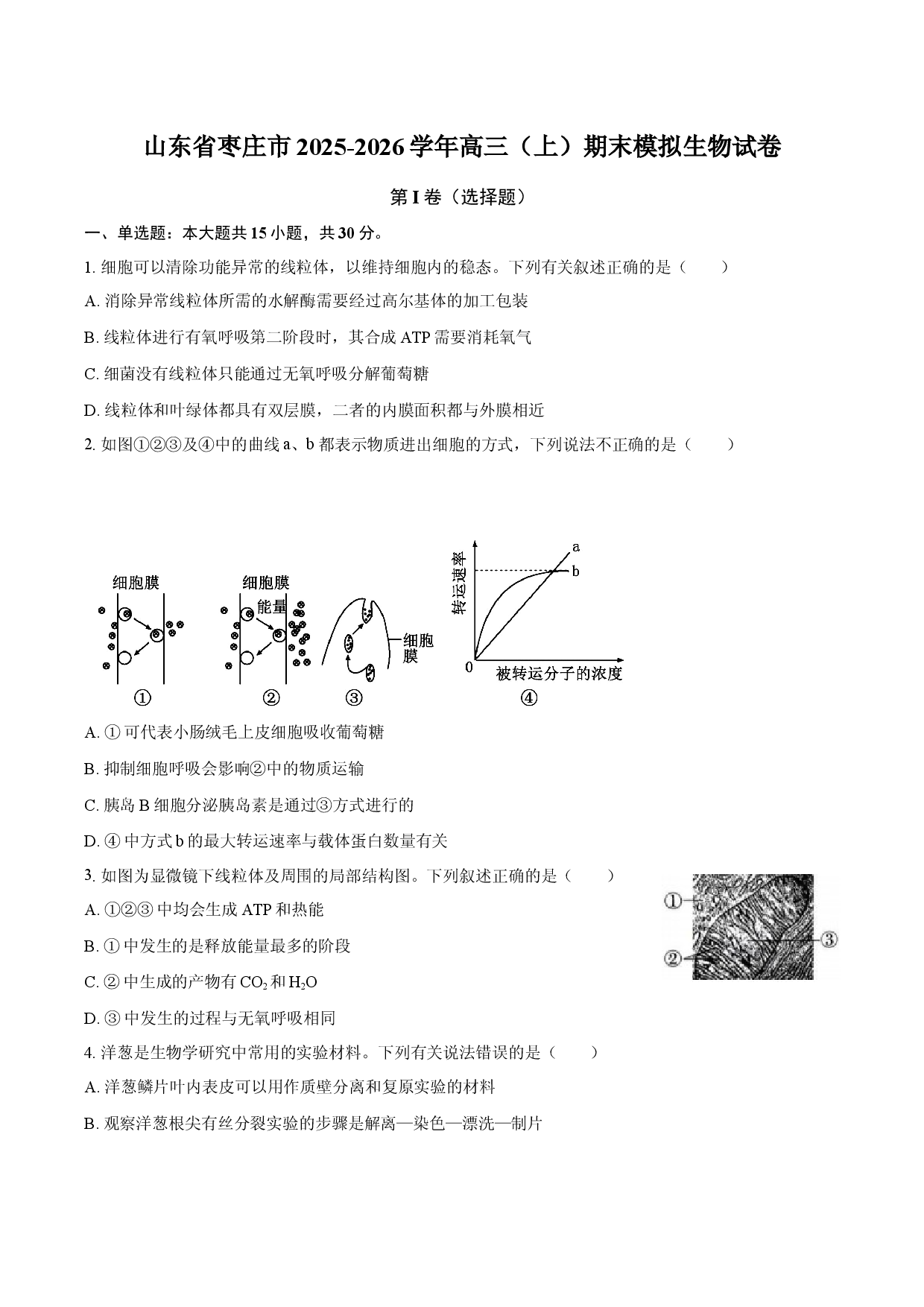 山东省枣庄市2025-2026学年高三（上）期末模拟生物试卷.docx 第1页