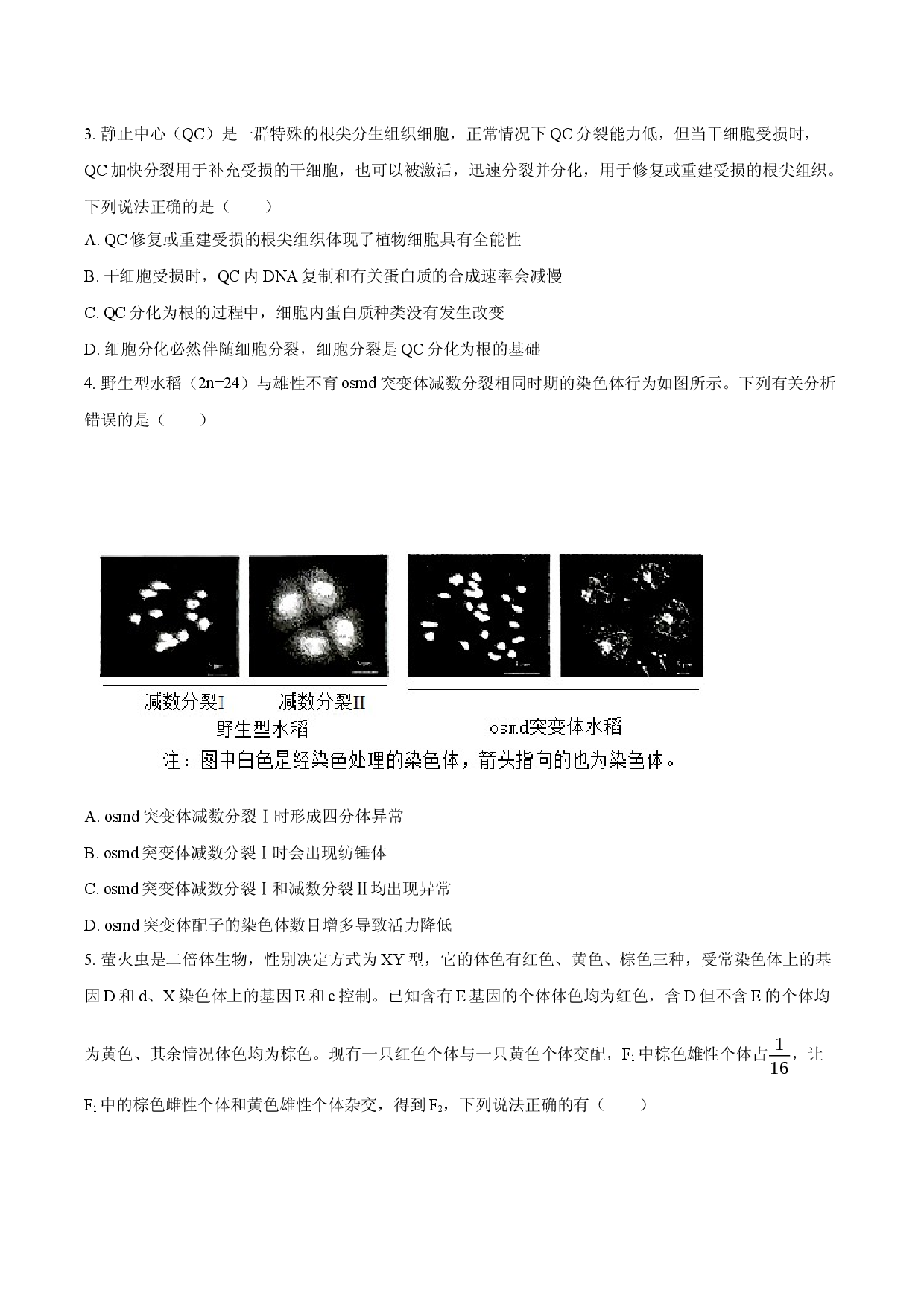 山东省济宁市2025-2026学年高三（上）期末模拟生物试卷.docx 第2页
