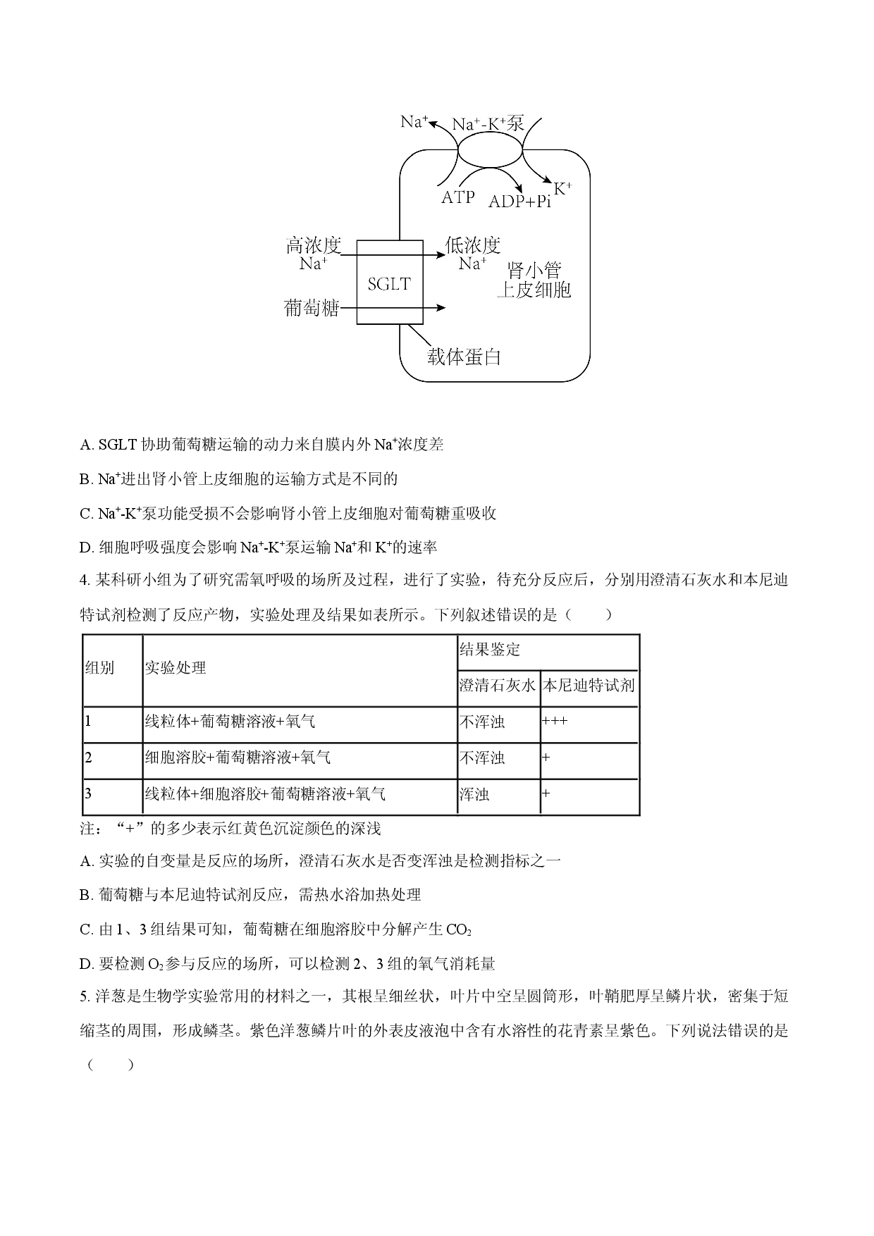 山东省烟台市2025-2026学年高三（上）期末模拟生物试卷.docx 第2页