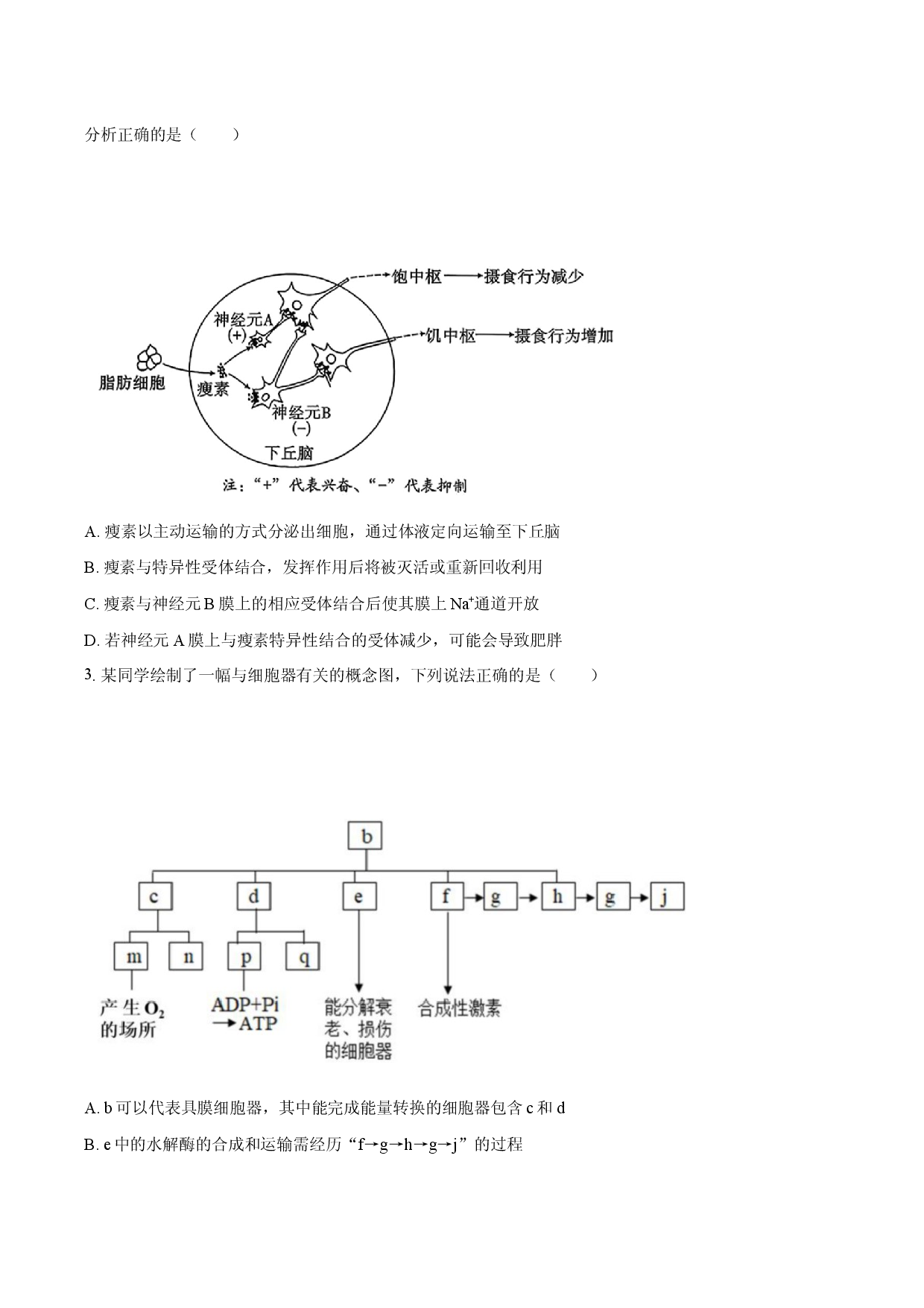 山东省青岛市2025-2026学年高三（上）期末模拟生物试卷.docx 第2页