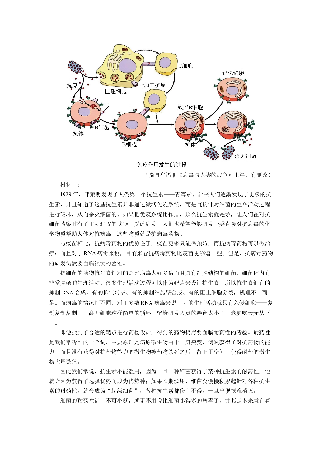 语文试卷广东广州市普通高中2025届高三冲刺（四）试题(含参考解析).docx 第2页