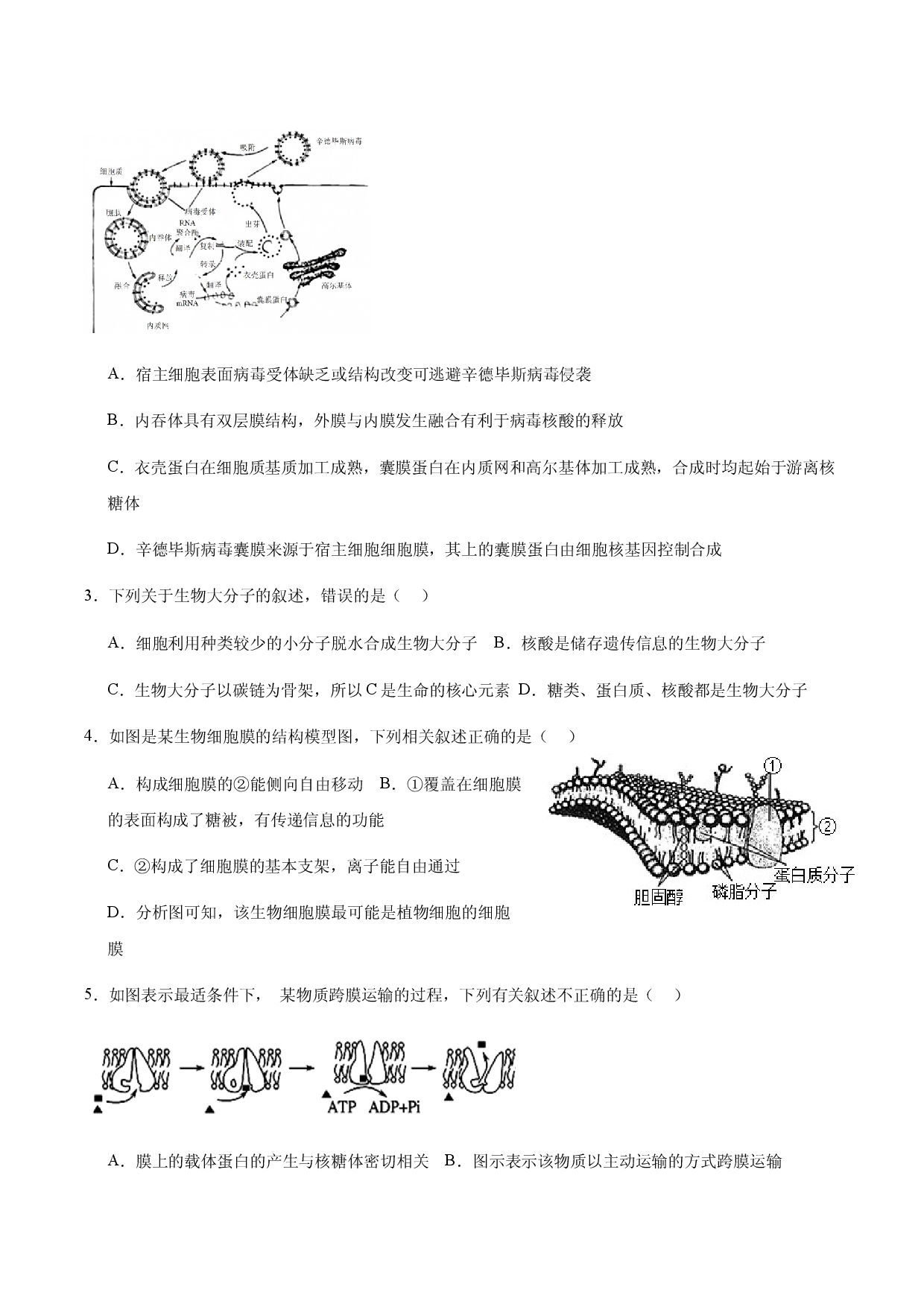 广东珠海市六校联考2023-2024学年高一下学期4月期中考试 生物 .docx 第2页