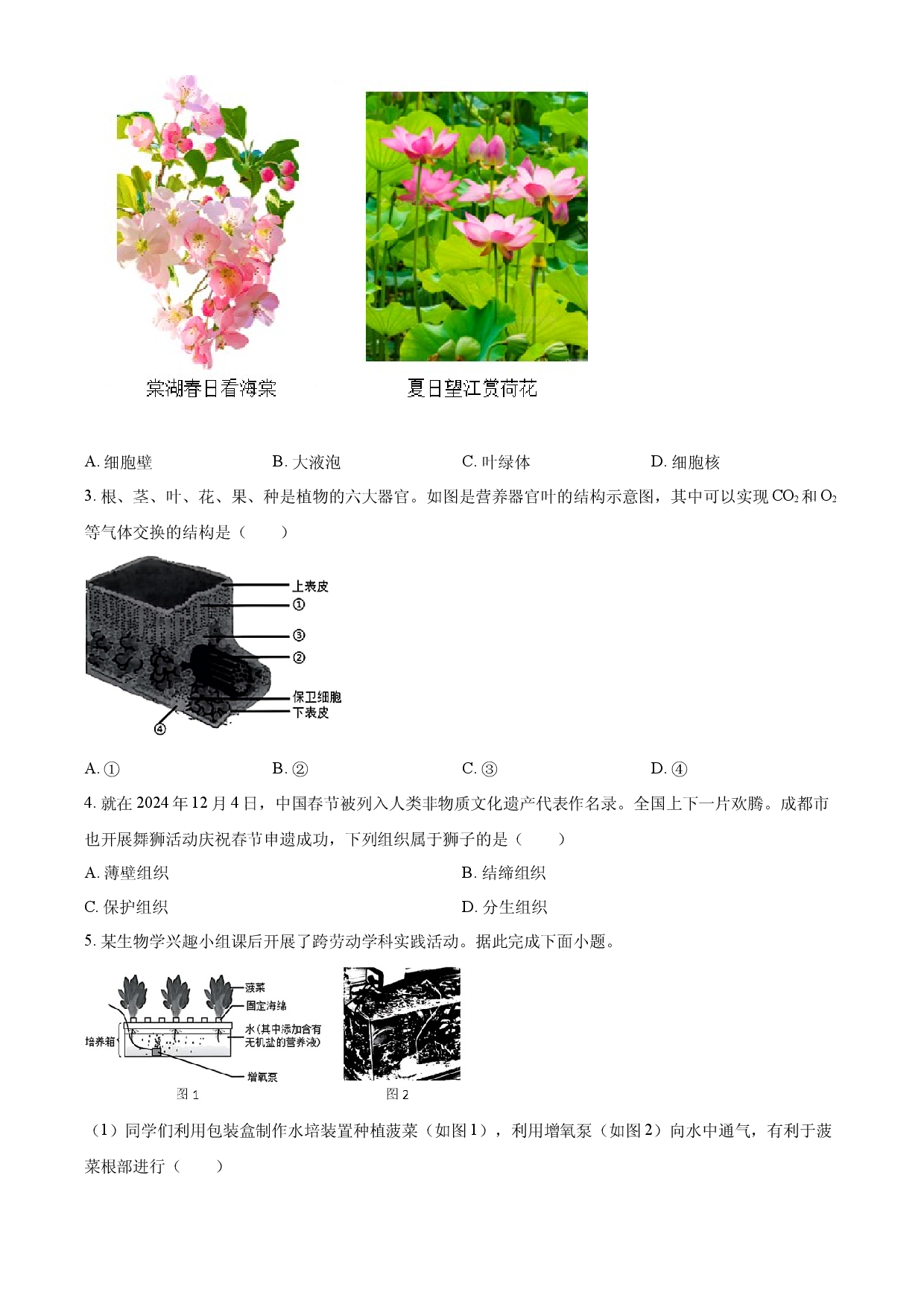 2025年四川省成都市中考生物真题.docx 第2页