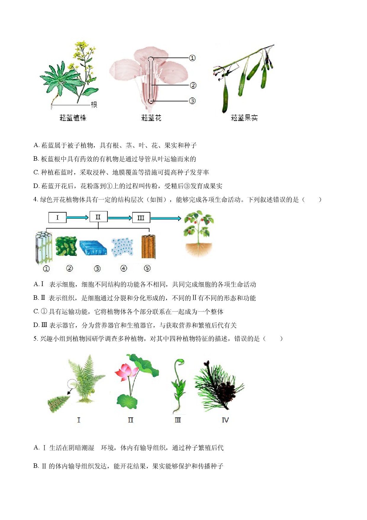 2025年山东省泰安市中考生物真题.docx 第2页
