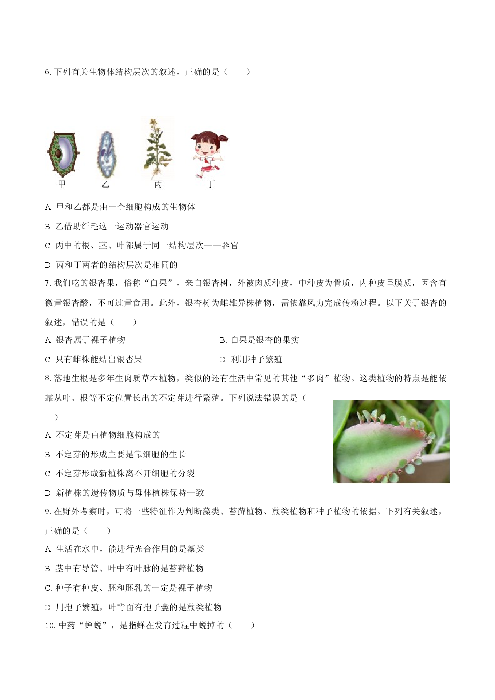 定远育才学校2025-2026学年七年级（上）期末生物试卷.docx 第2页